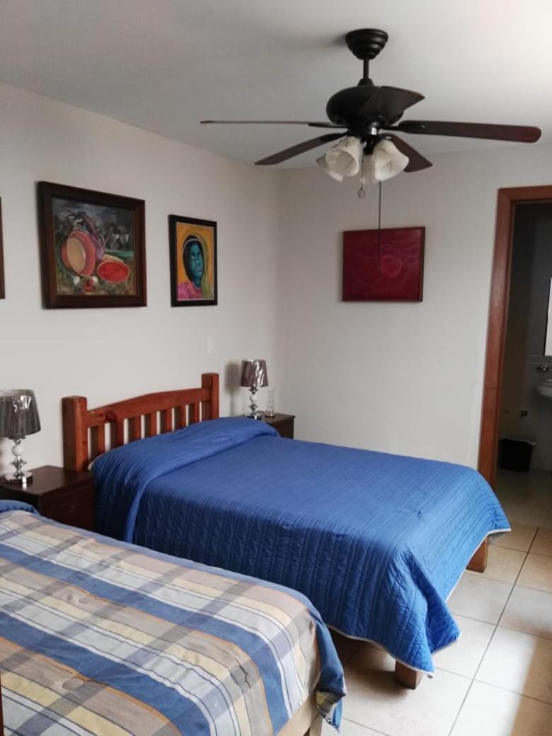 Olga Querida B&B Hostal Guadalajara Dış mekan fotoğraf