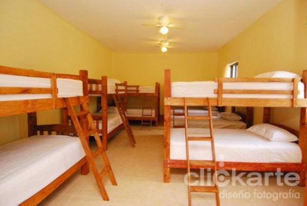 Olga Querida B&B Hostal Guadalajara Oda fotoğraf